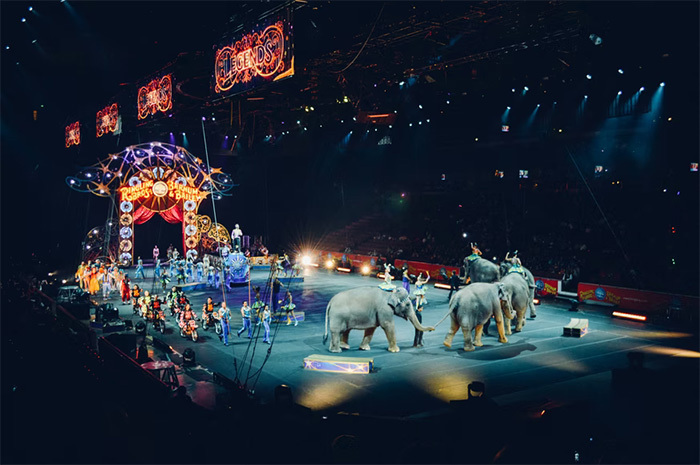 live animals performing circus