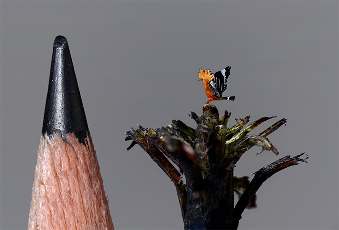 micro bird sculptures hoopoe