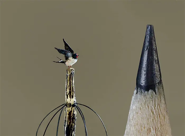 micro bird sculptures marie cohydon