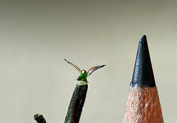 micro bird sculptures merops