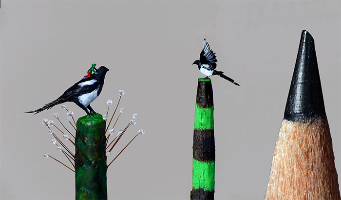 miniature art magpie and little boy