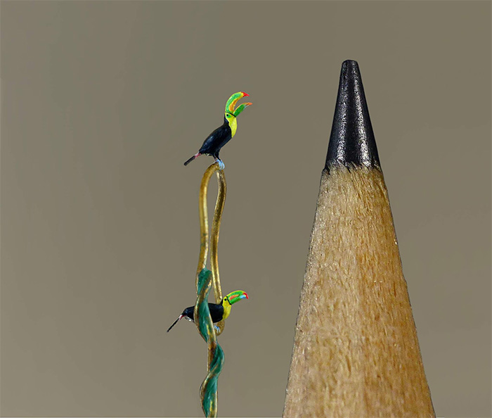miniature art toucans marie cohydon