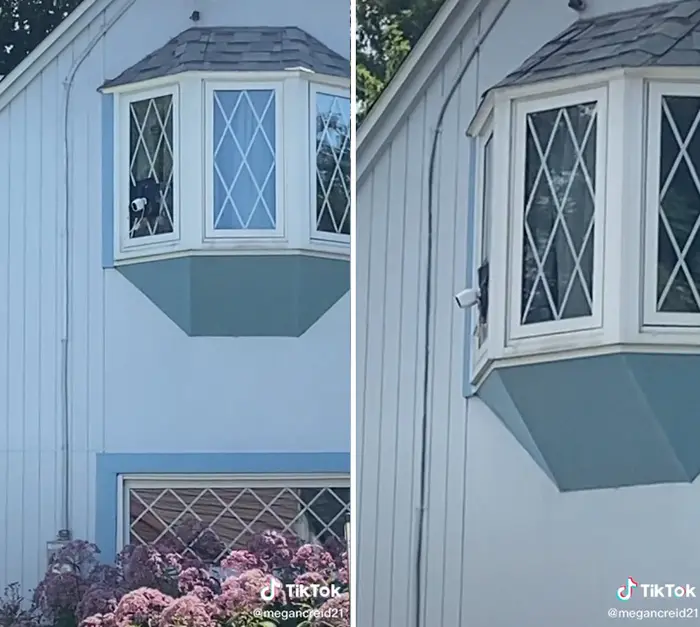nosy neighbor spying with security cameras