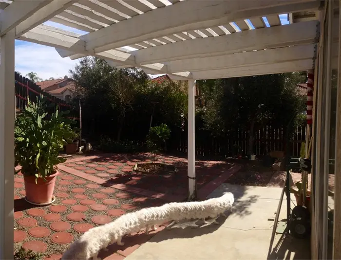 panoramic photo fail overstretched dog