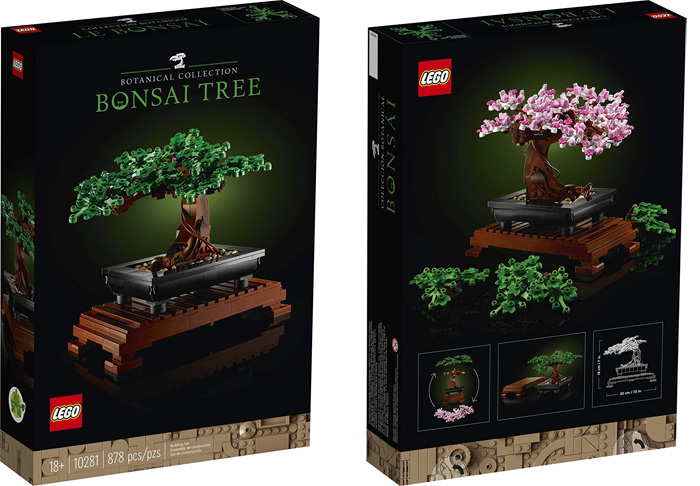 bonsai tree set