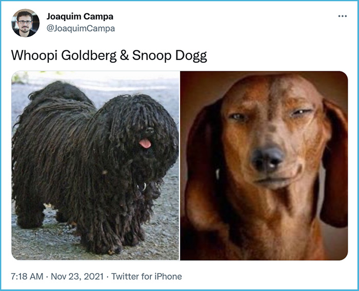 canine hollywood doppelgangers whoopi goldberg snoop dogg