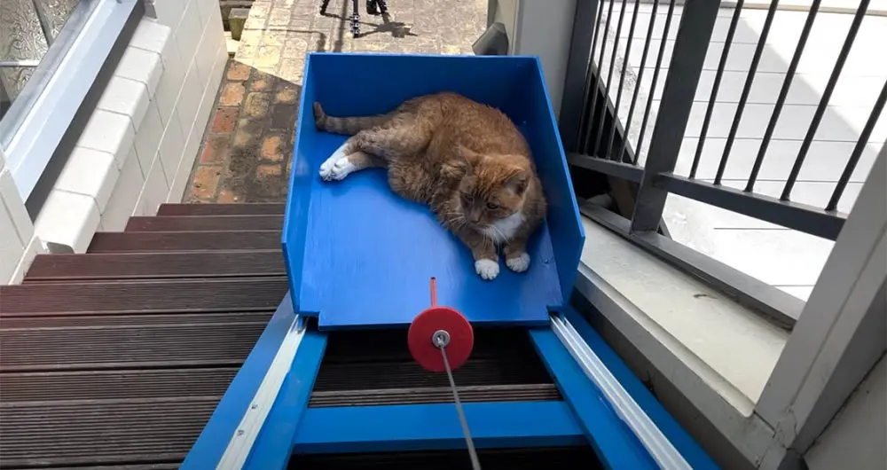 Liam Thompson Built His 20YearOld Cat A Custom Stair Elevator So He