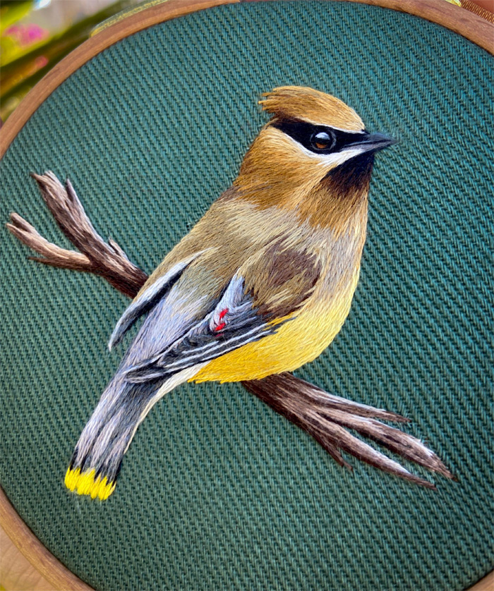 beautiful embroidery cedar waxwing