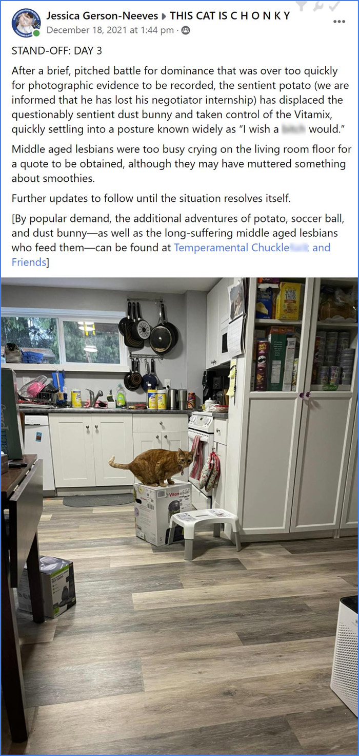 cat claims blender package