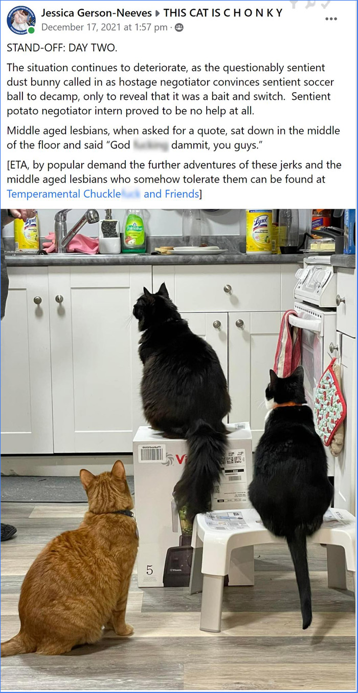 cats claim blender box