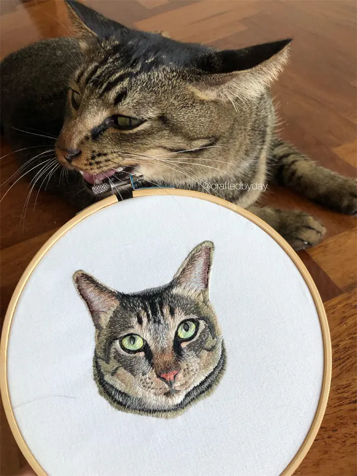 creative needlecraft cat portrait