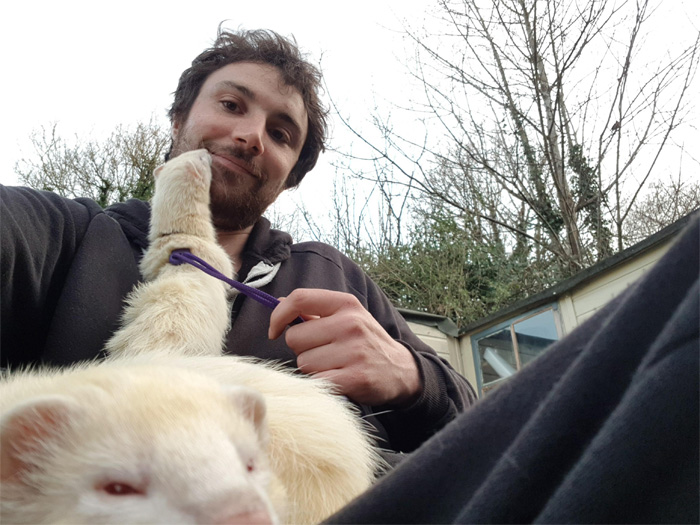ferrets selfie fail