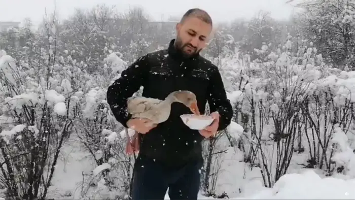 man rescues frozen migratory bird