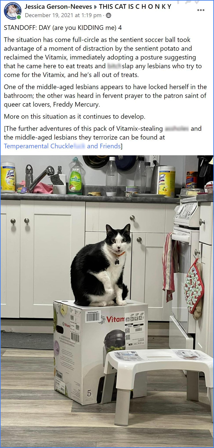 vitamix boxes for cats request