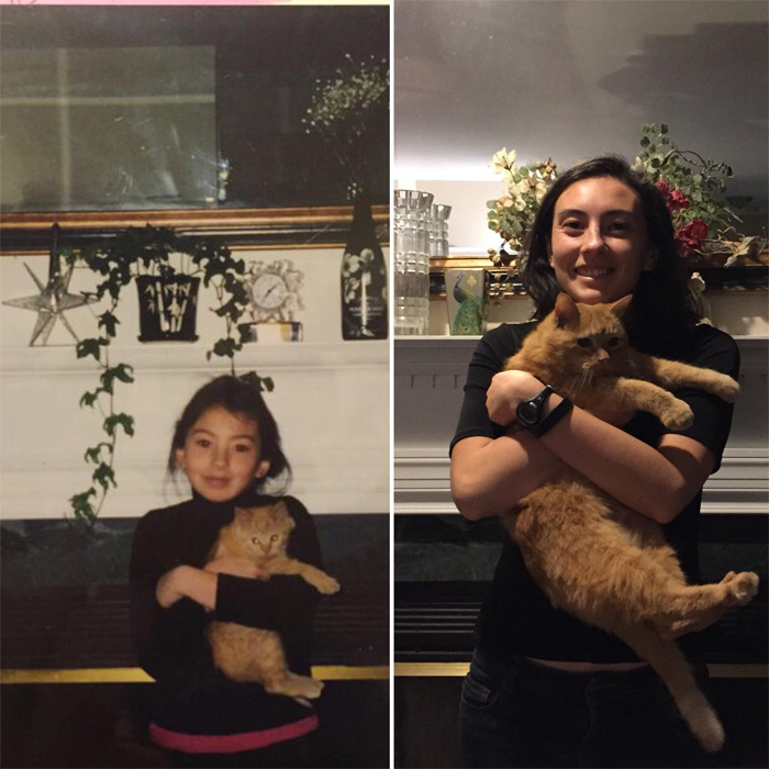 wholesome animals growing up with a cat