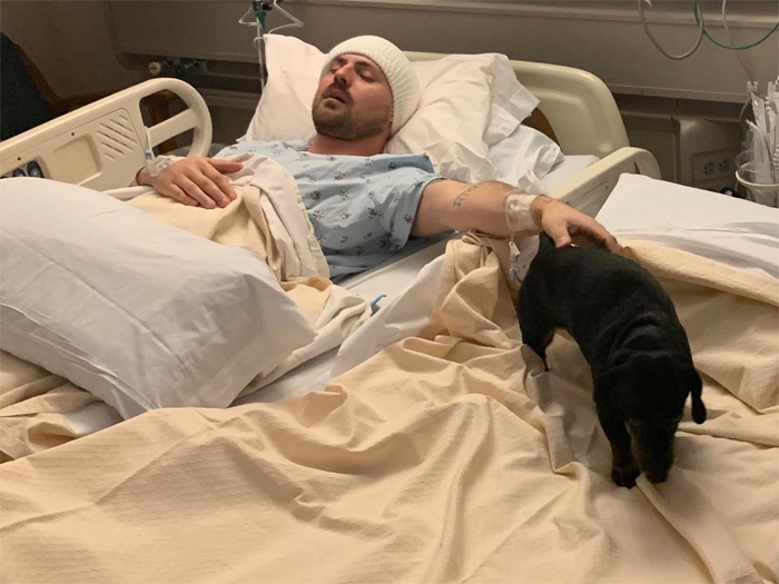 wholesome animals post-surgery therapy dog