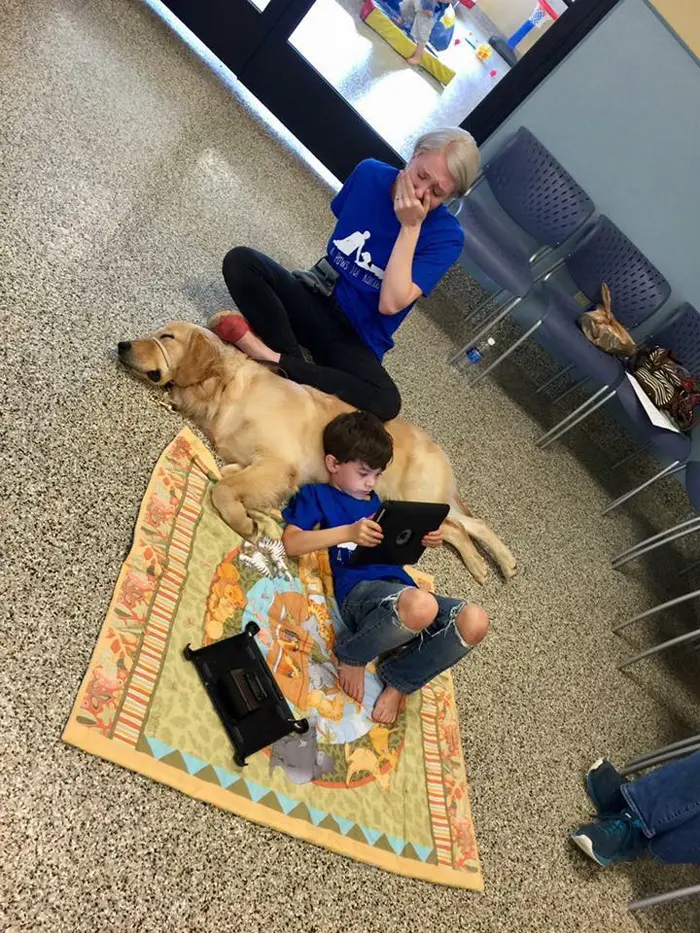 wholesome animals service dog for autistic boy