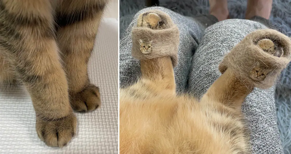 cat fur slippers