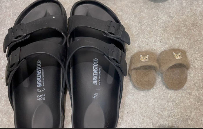 human and cat slippers comparison