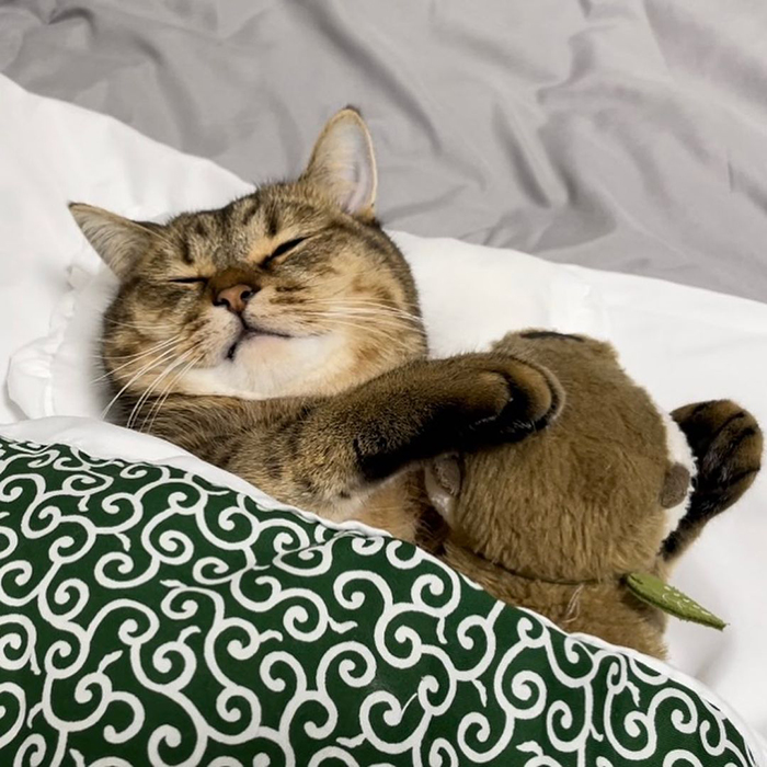 minira sleeping with plushie