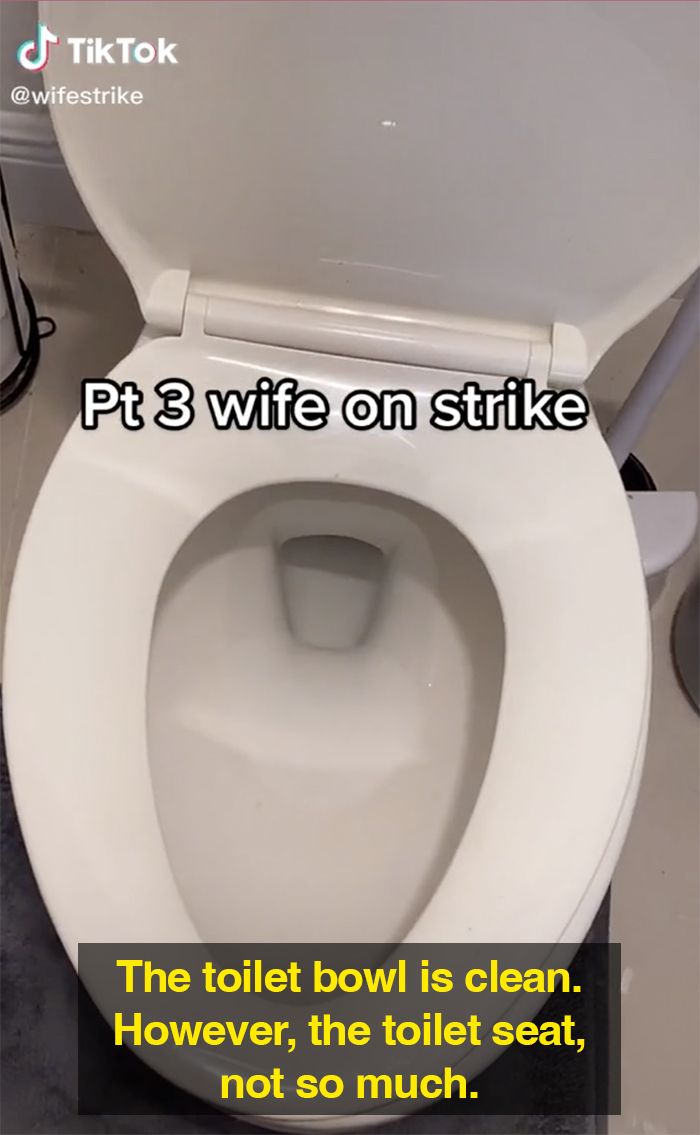 wife strike one week without cleaning dirty toilet seat