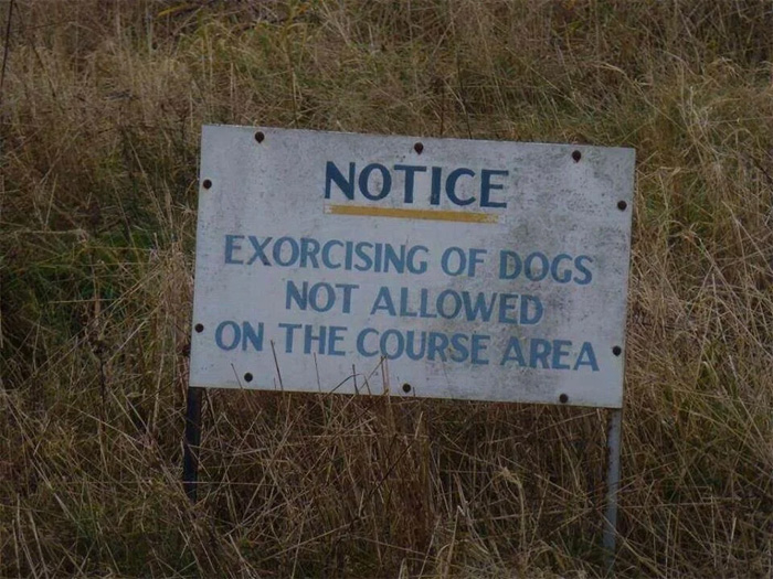 worst spelling mistakes exorcising of dogs