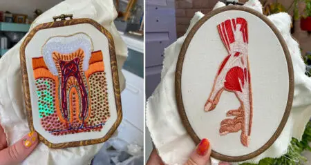 anatomical embroidery