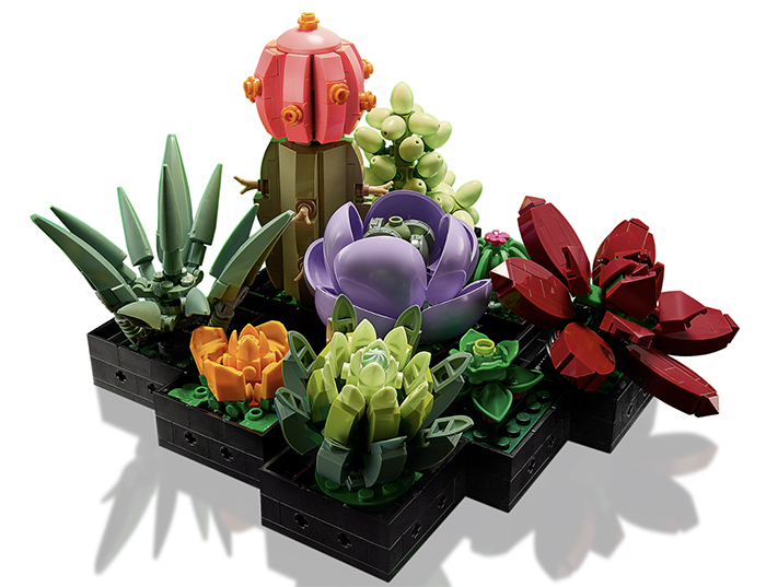 brick cacti display collection