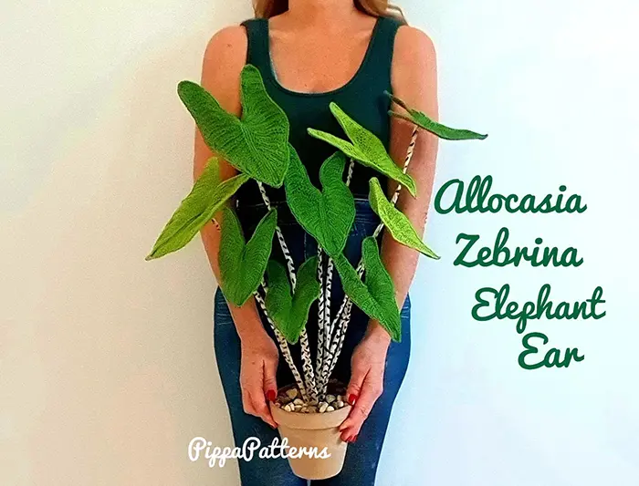 crochet alocasia zebrina elephant ear