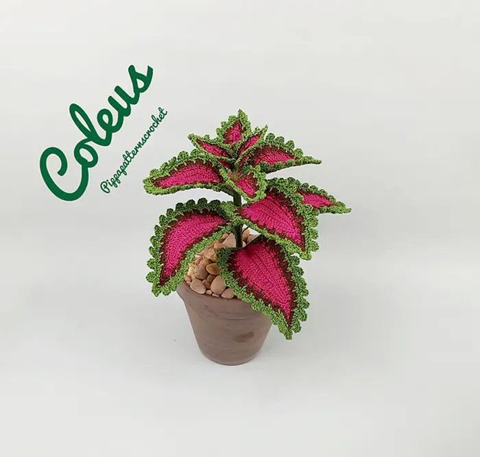 crochet coleus in pot