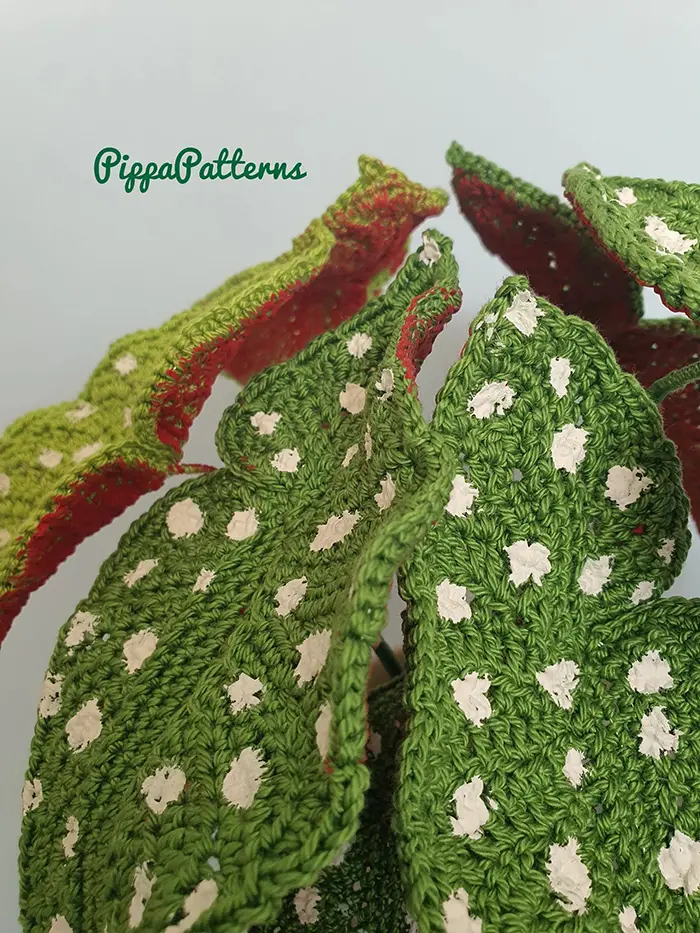 knitted polka dot begonia leaves