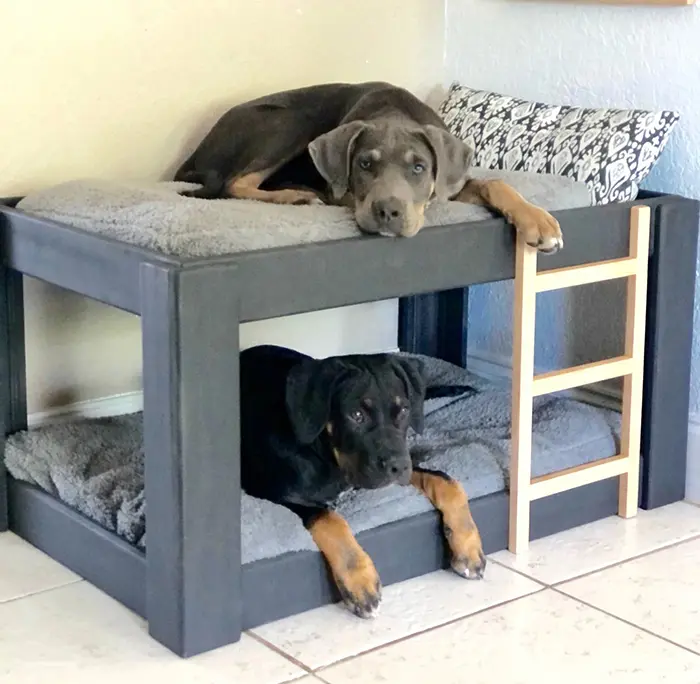 bunk bed for dogs