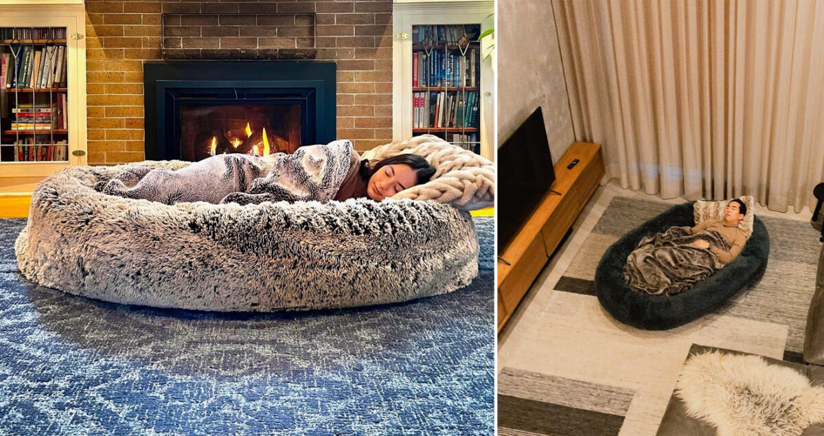 You Can Now Get A Giant Dog Bed For Humans