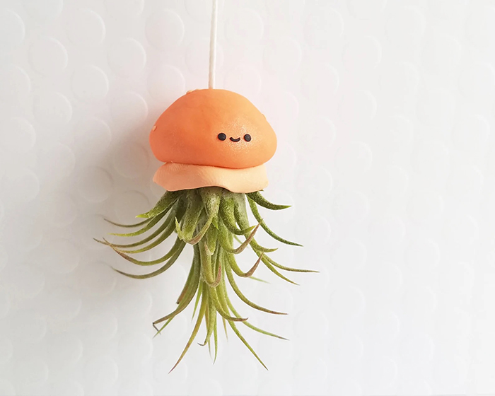 funusualsuspects jellyfish planter