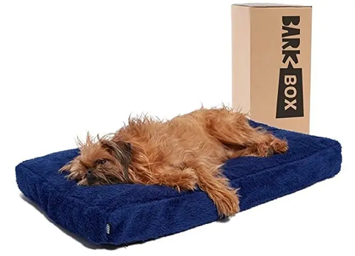 navy blue canine sleeping cushion
