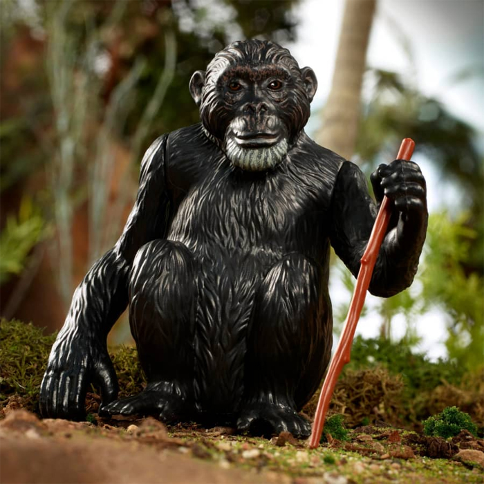 david greyhead male chimpanzee figure