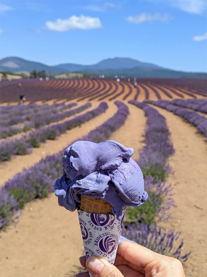 lavender ice cream