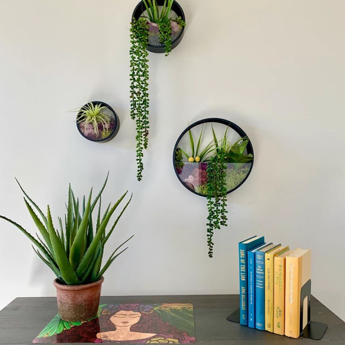 modern hanging planters