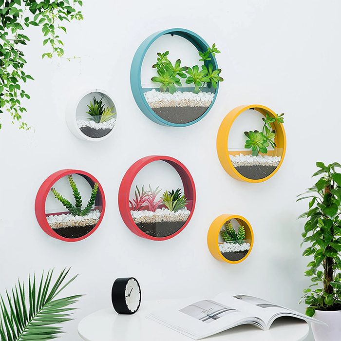 modern wall mounted circular terrariums