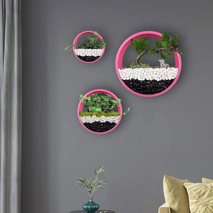 wall hanging round terrariums
