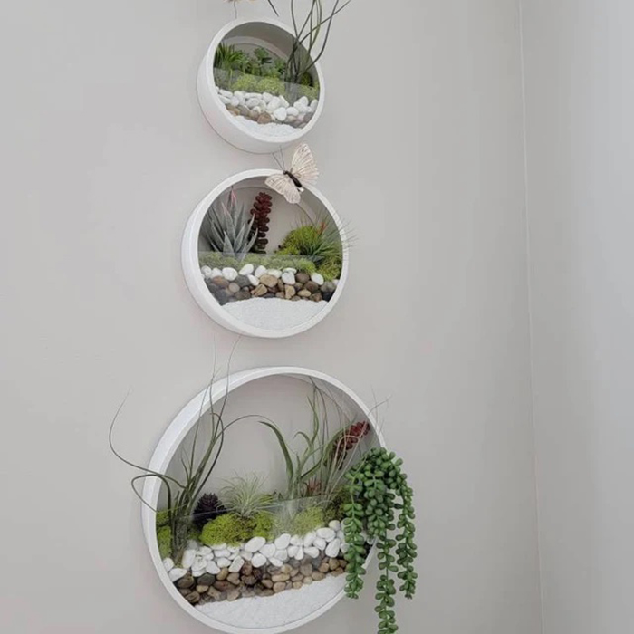 wall mounted circular terrariums set
